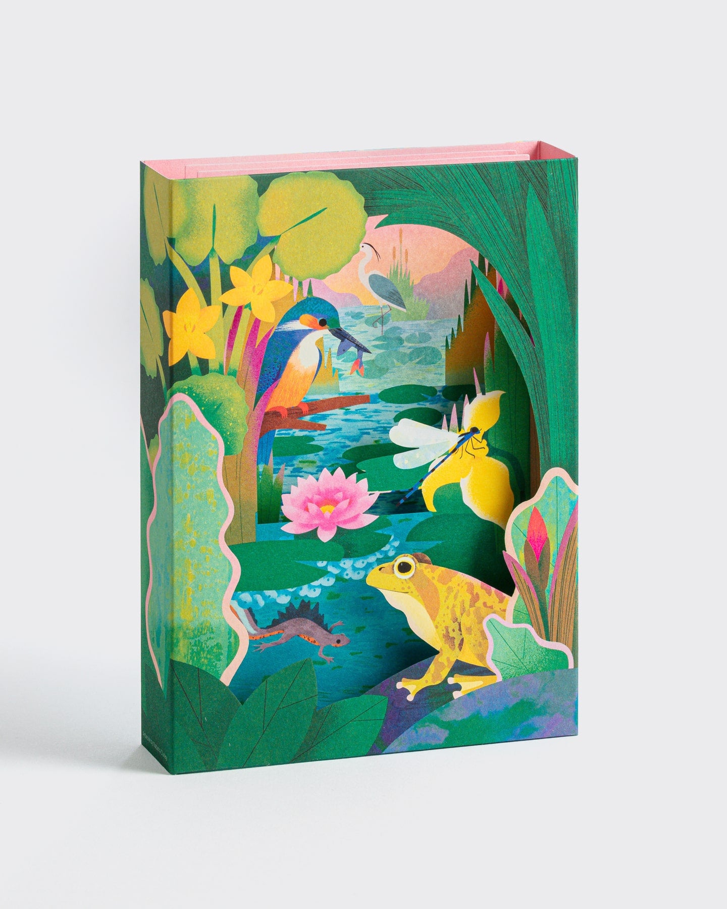 Pond Wildlife | Pop-Up Card