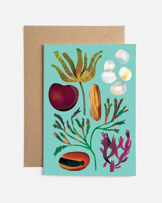 Drift Seeds | Card