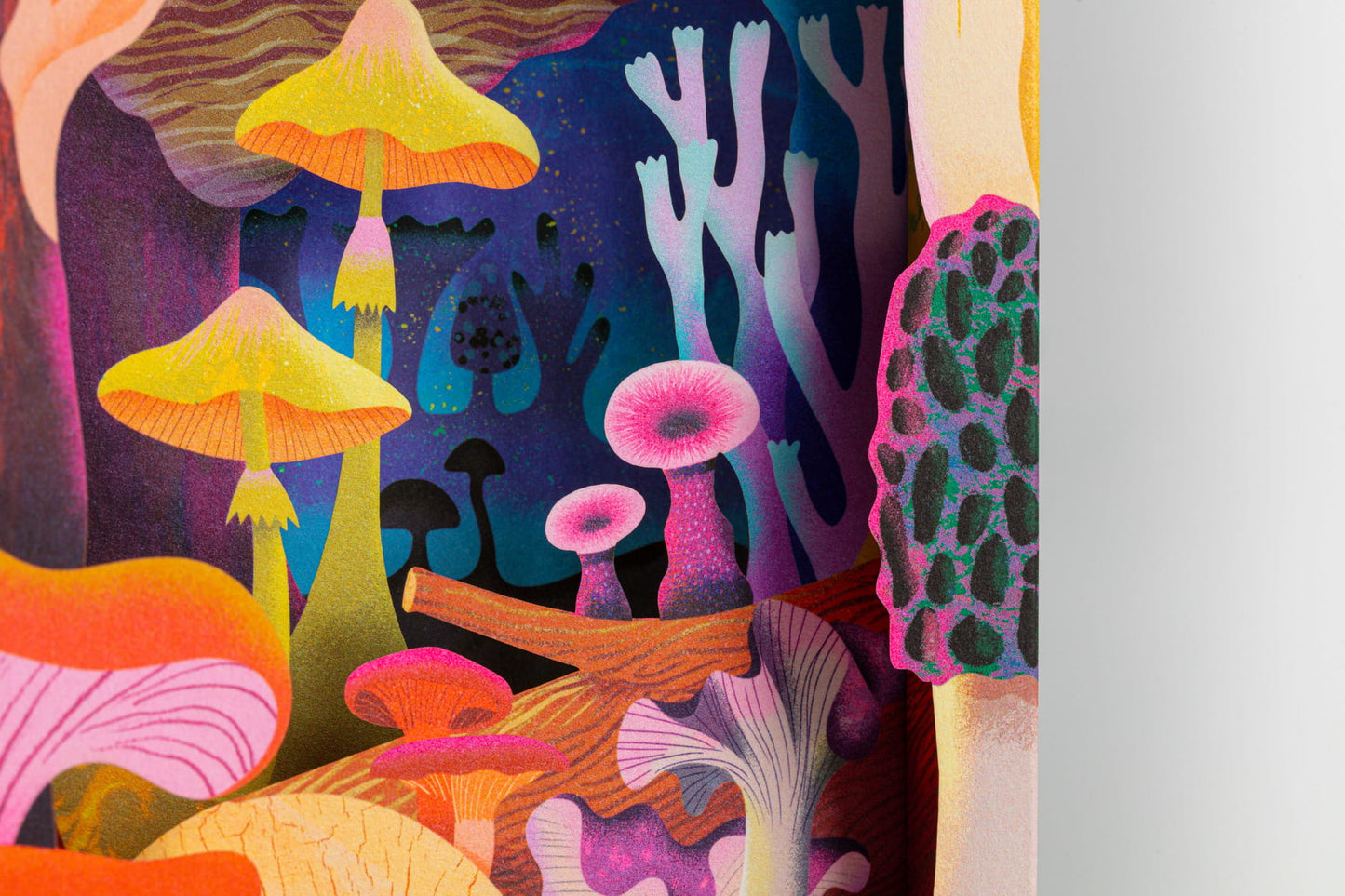 Fungi | Pop-Up Card