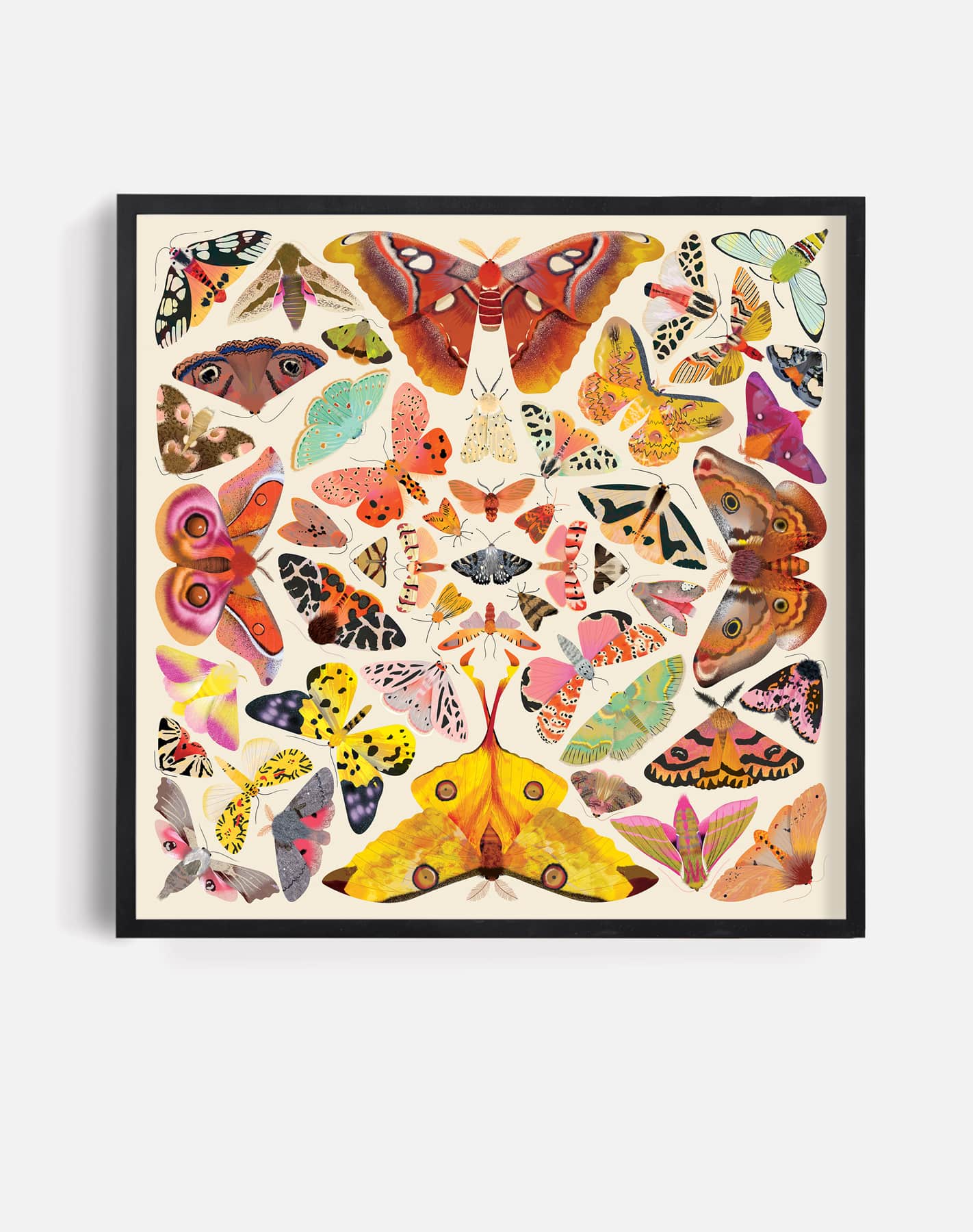 Kaleido Moths | Art Print