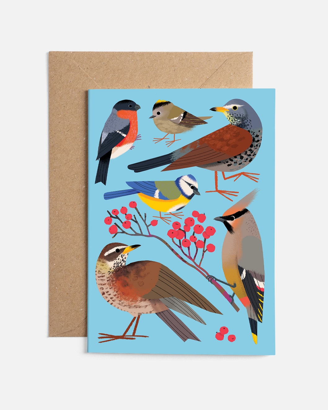 What to Look For in Winter | Christmas Card Set