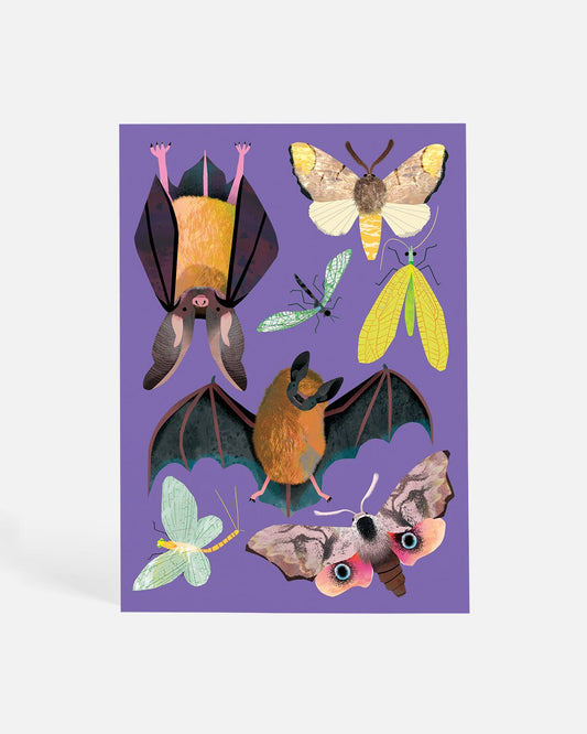 Bats at Dusk | Postcard