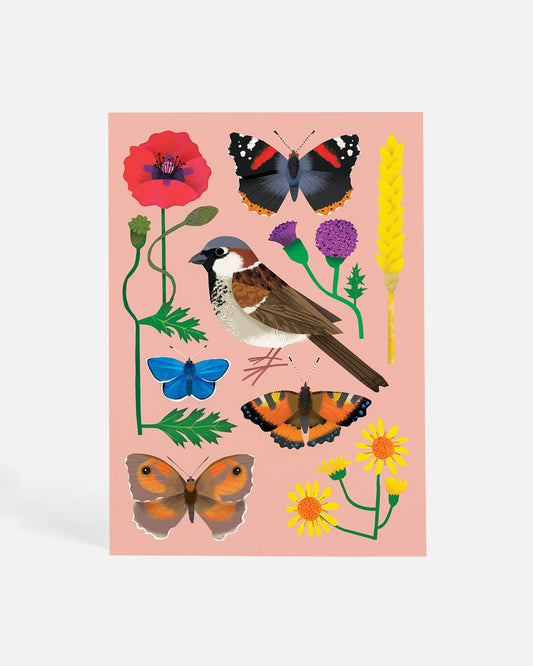 In the Cornfields | Postcard