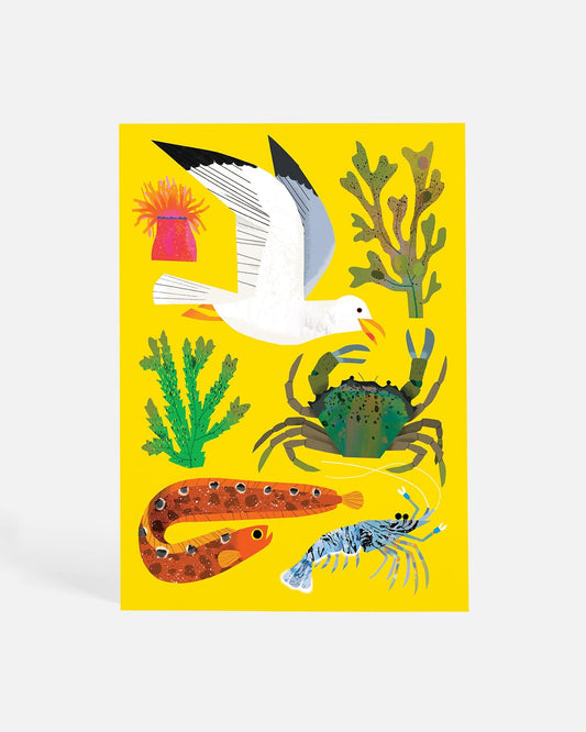 Sand and Shore | Postcard