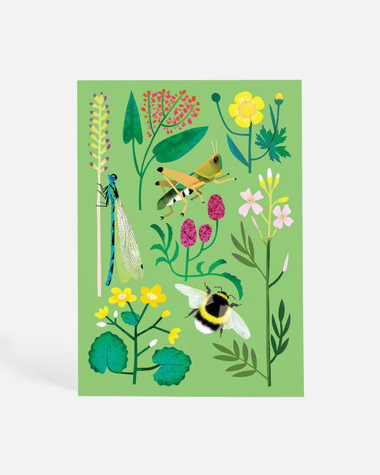 Wildflowers Everywhere | Postcard