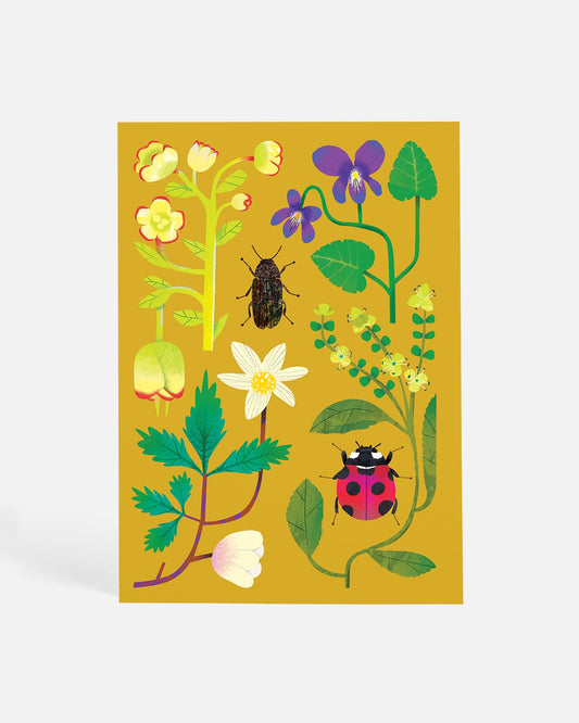 Spring Comes to the Woodland | Postcard