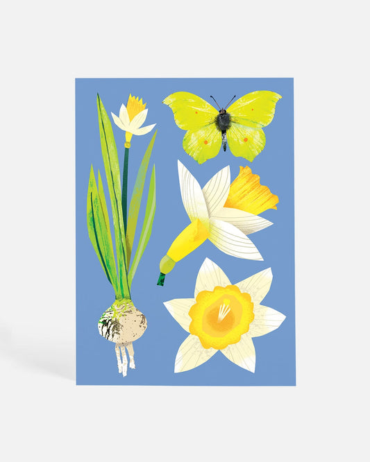 Daffodils and Butterflies | Postcard
