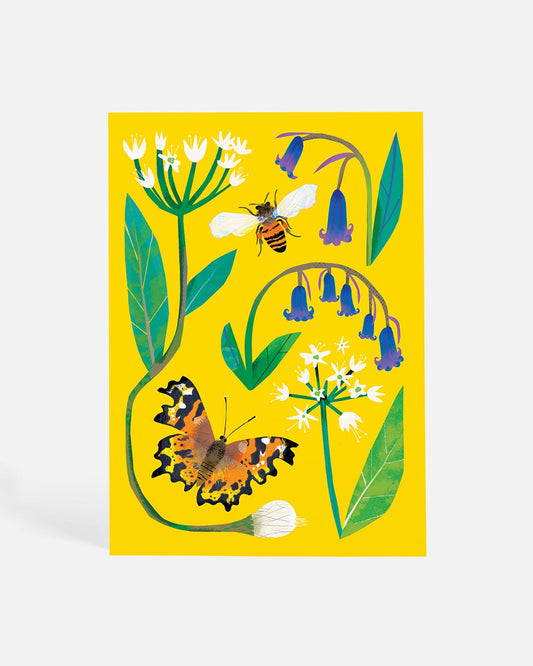 Bluebells in the Woods | Postcard