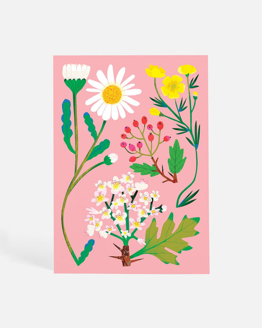 May Day | Postcard