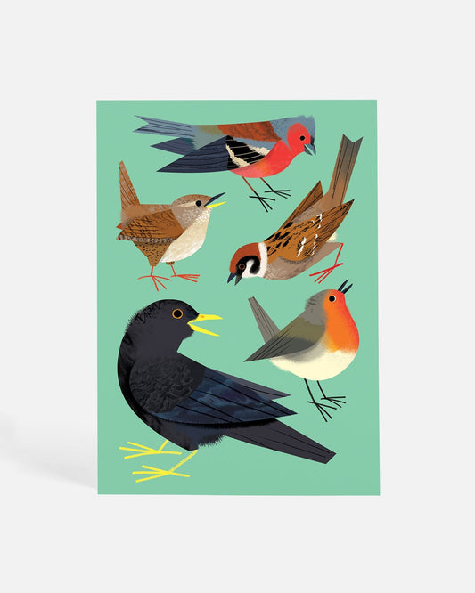 Songbirds at Dawn | Postcard