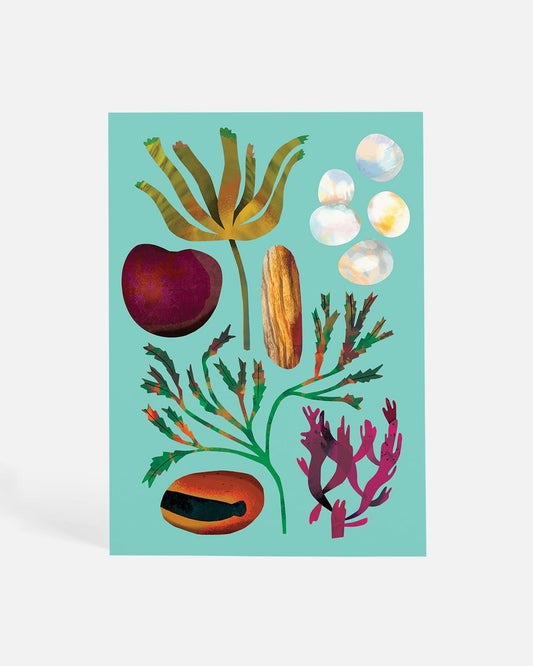 Drift Seeds | Postcard