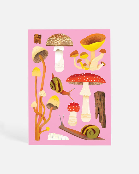 Woodland Fungi | Postcard