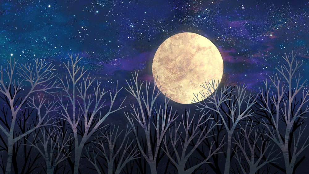 Supermoon | Art Print