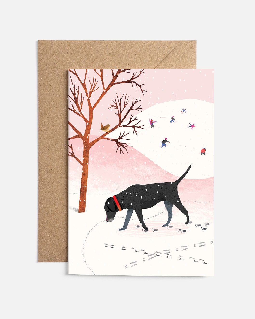 What to Look For in Winter | Christmas Card Set