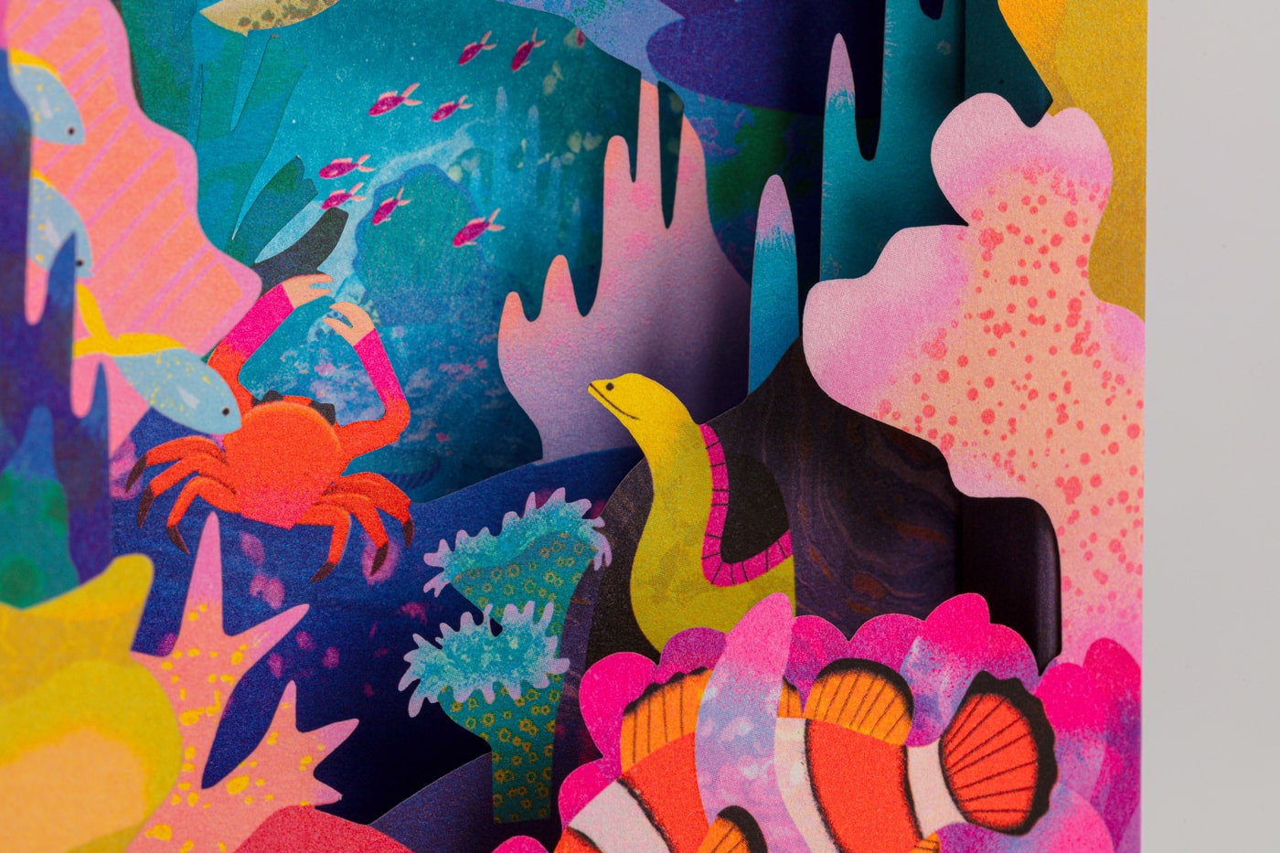 Great Barrier Reef | Pop-Up Card
