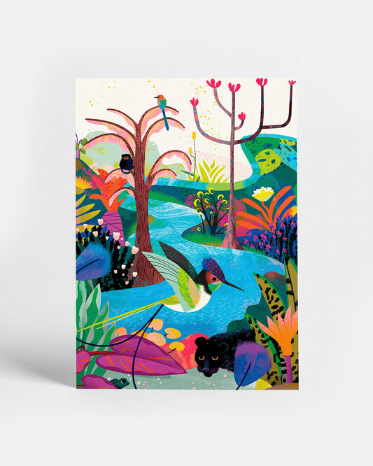 Amazon Rainforest | Postcard