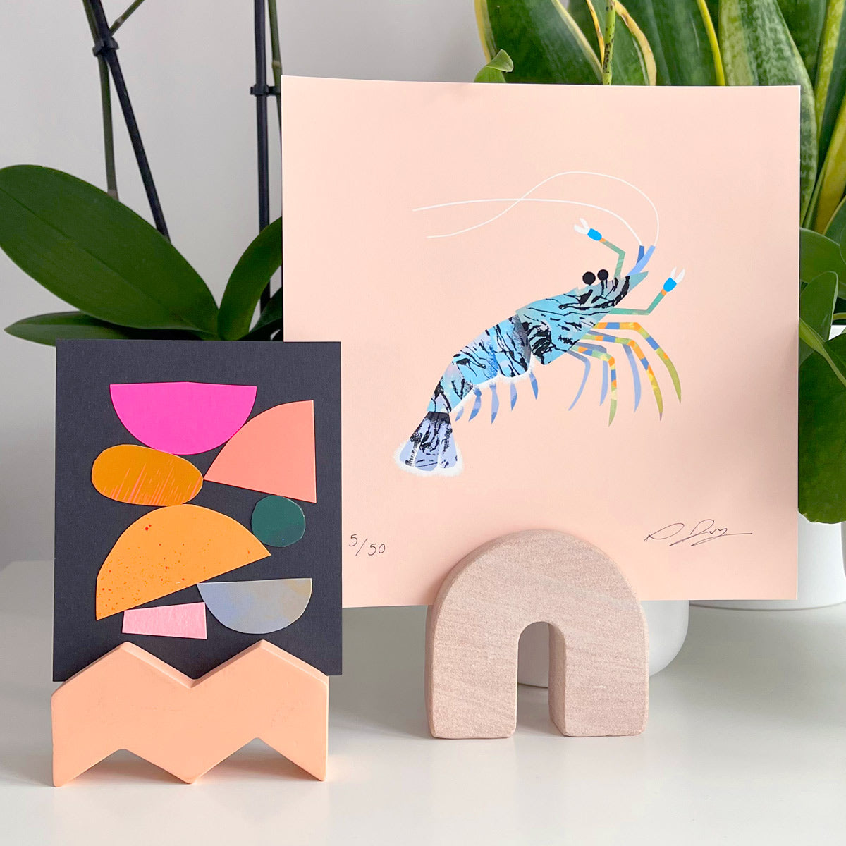 Rock Pool Shrimp | Art Print