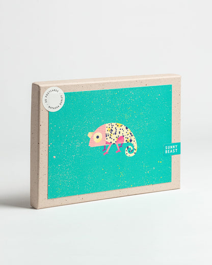 20 Postcards | Boxed Set