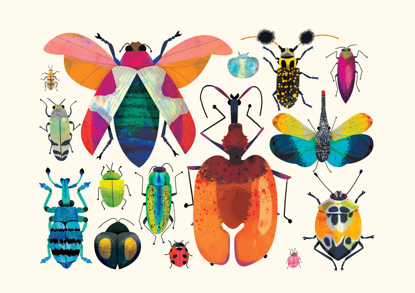 Bug Collection | XL Postcard