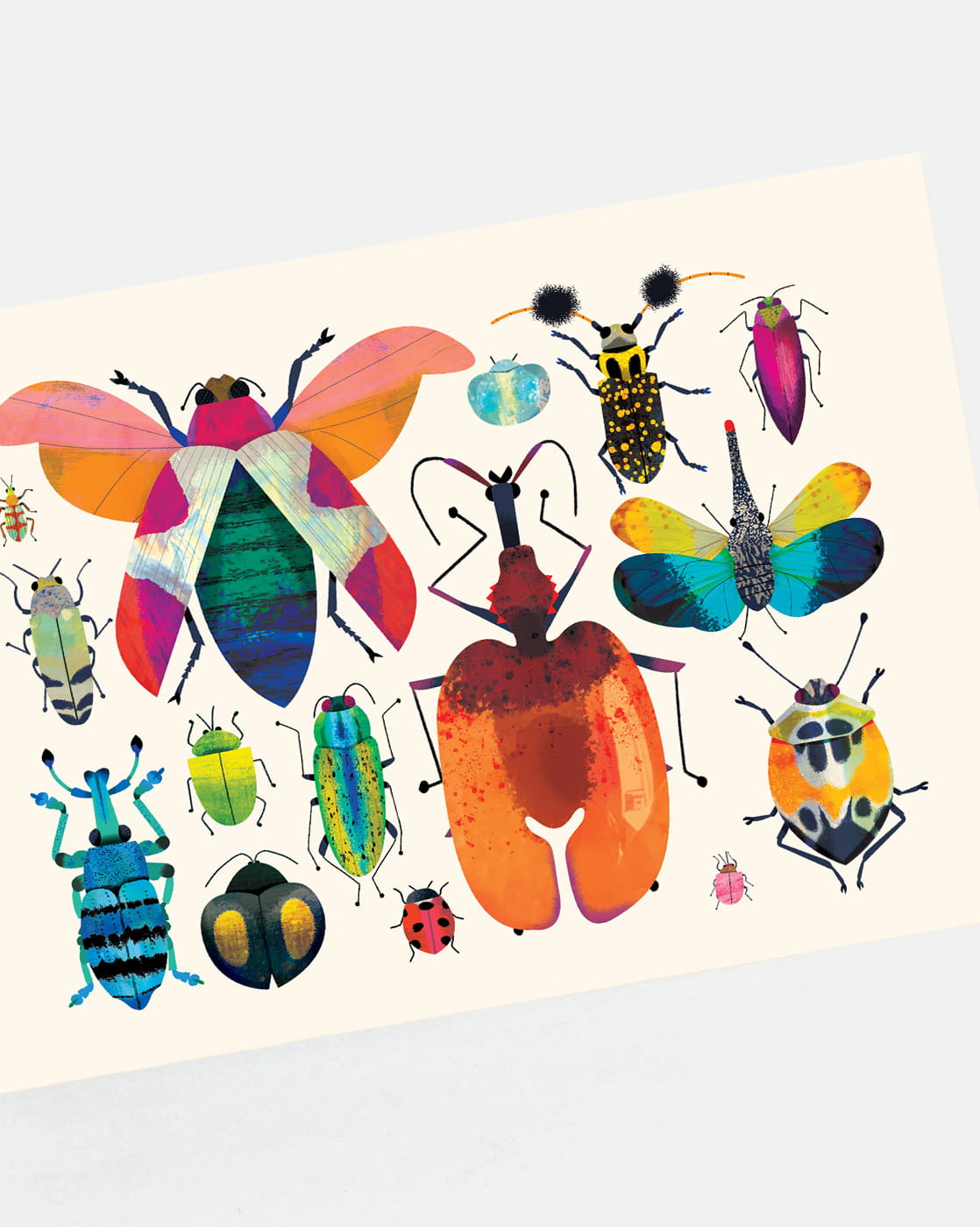 Bug Collection | XL Postcard
