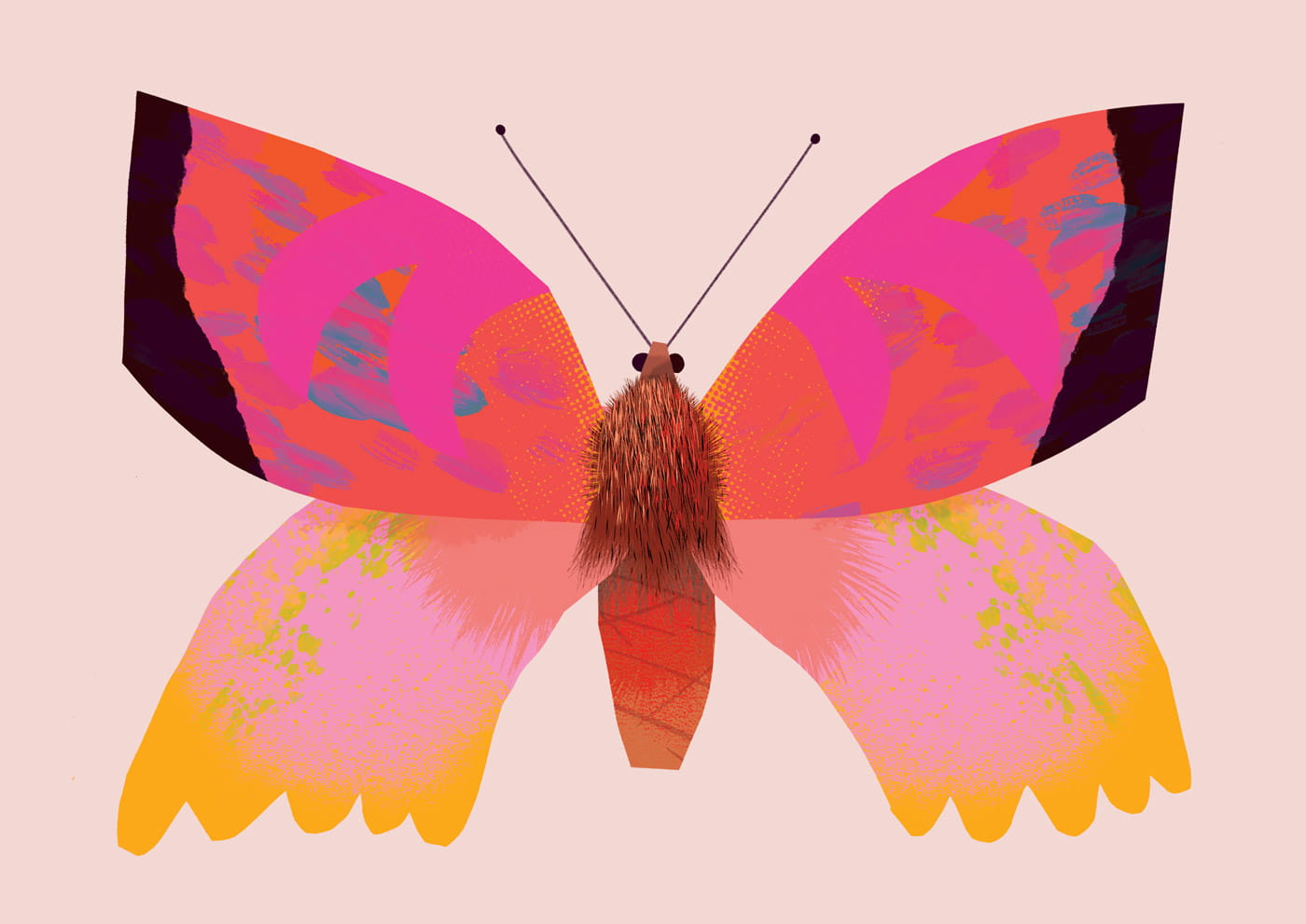 Butterfly Pink | XL Postcard