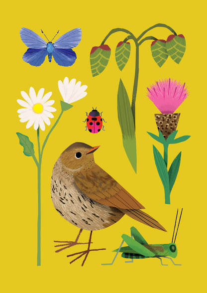 Meadowland | Mini Card