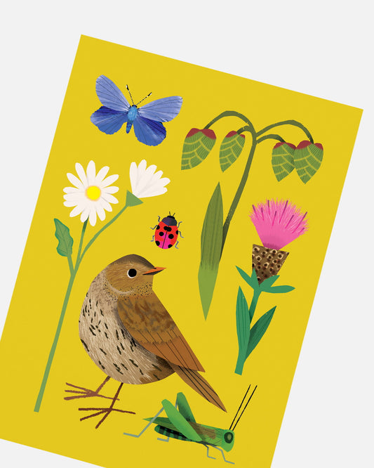 Meadowland | XL Postcard
