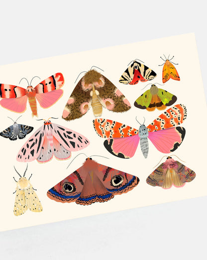 Moth Collection 2 | Mini Art Print