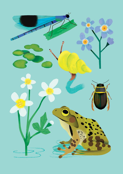 Pondlife | XL Postcard