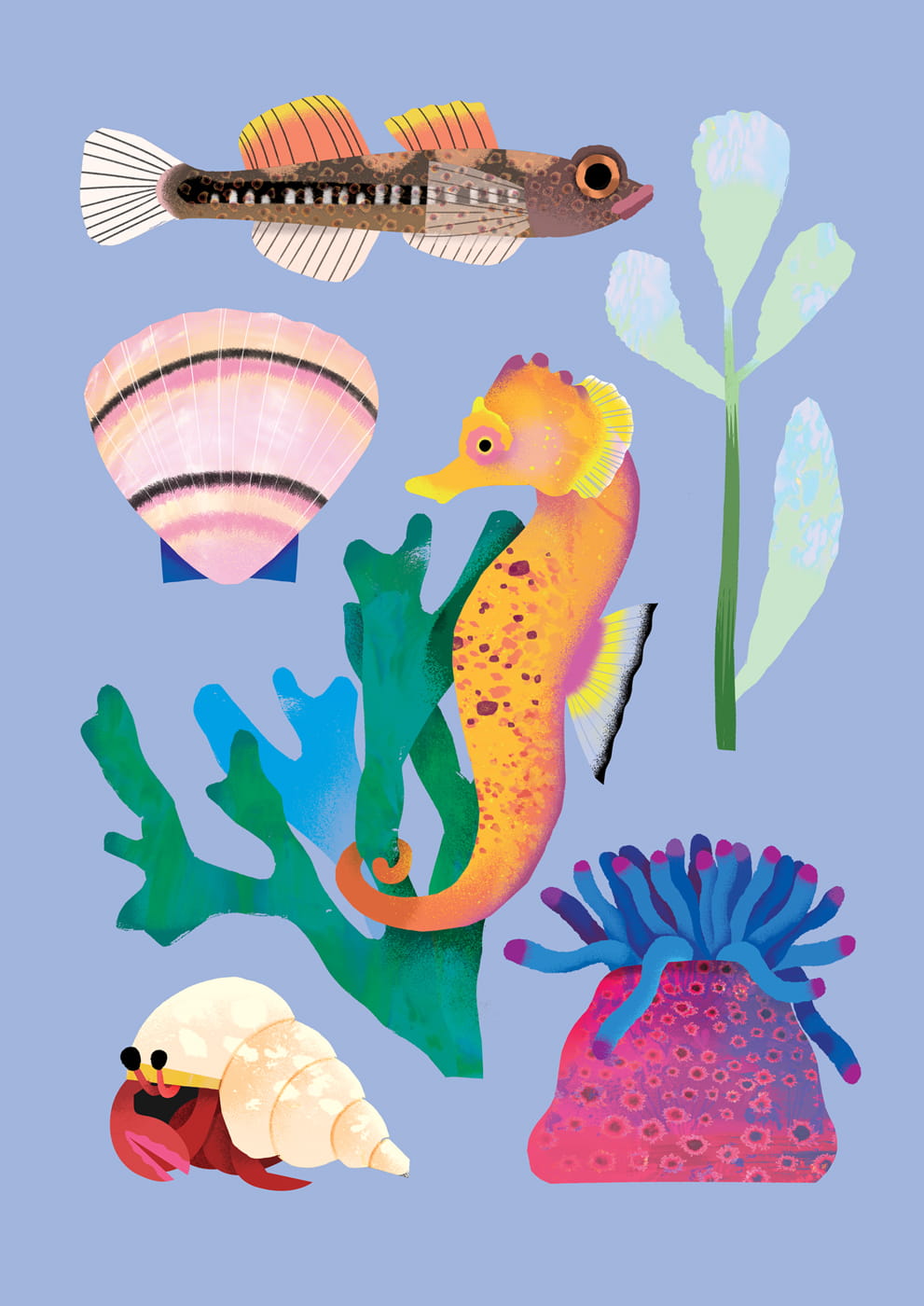Seashore | Mini Card