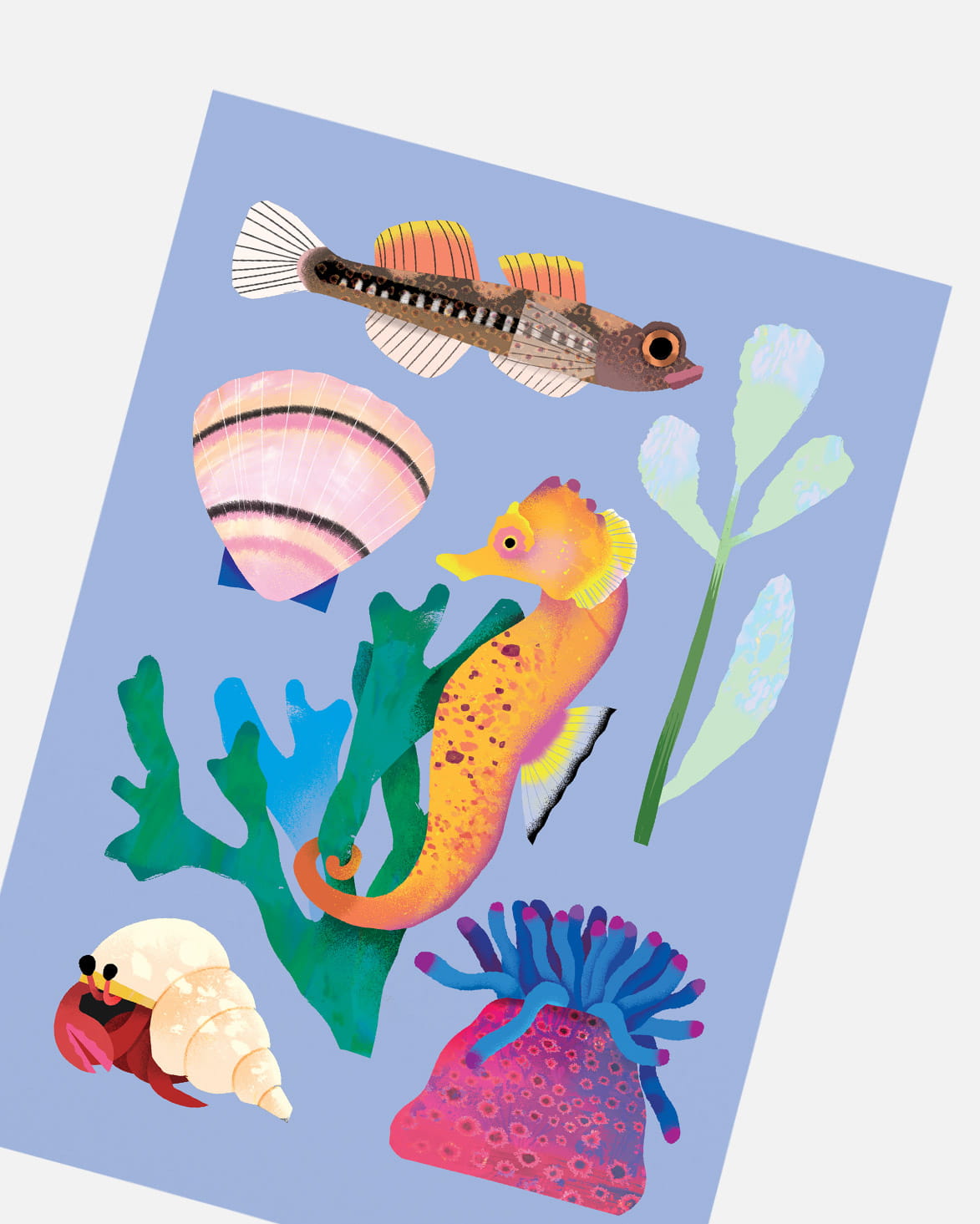 Seashore | XL Postcard