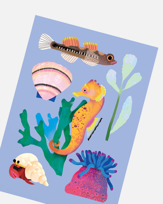 Seashore | XL Postcard