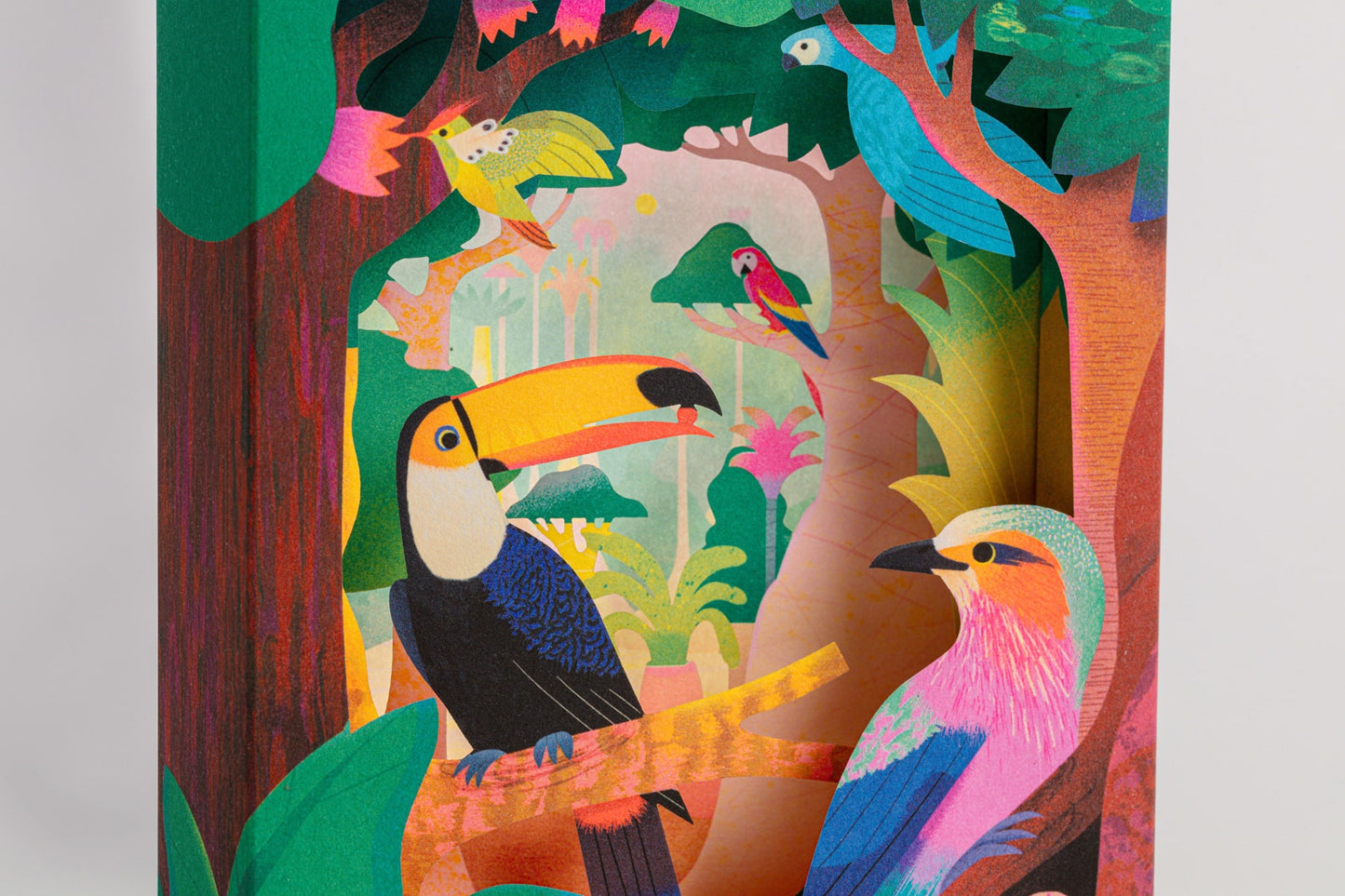 Amazon Rainforest | Pop Up Card