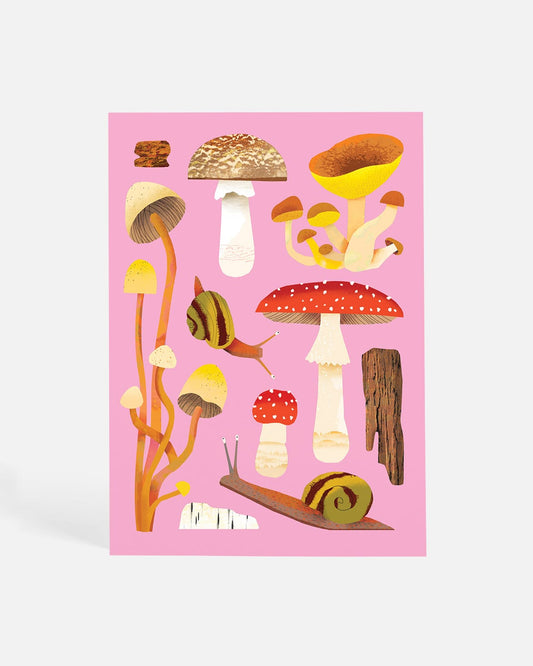 Fungi | Postcard
