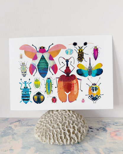 Bug Collection | XL Postcard