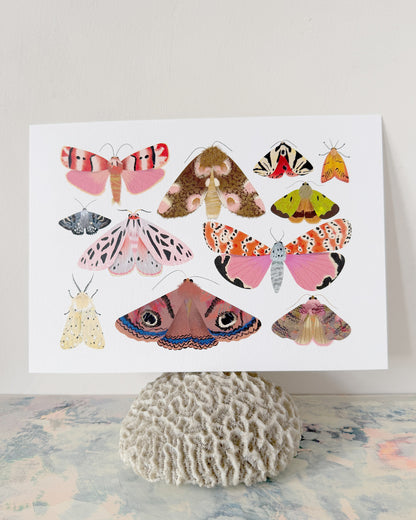 Moth Collection 2 | Mini Art Print