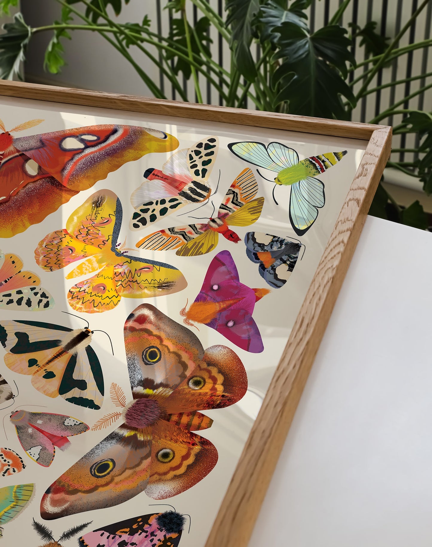 Kaleido Moths | Art Print