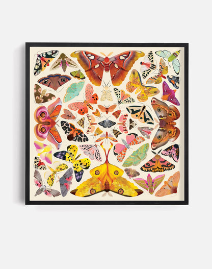 Kaleido Moths | Art Print
