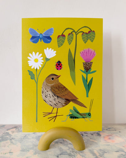 Meadowland | XL Postcard