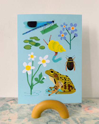 Pondlife | XL Postcard