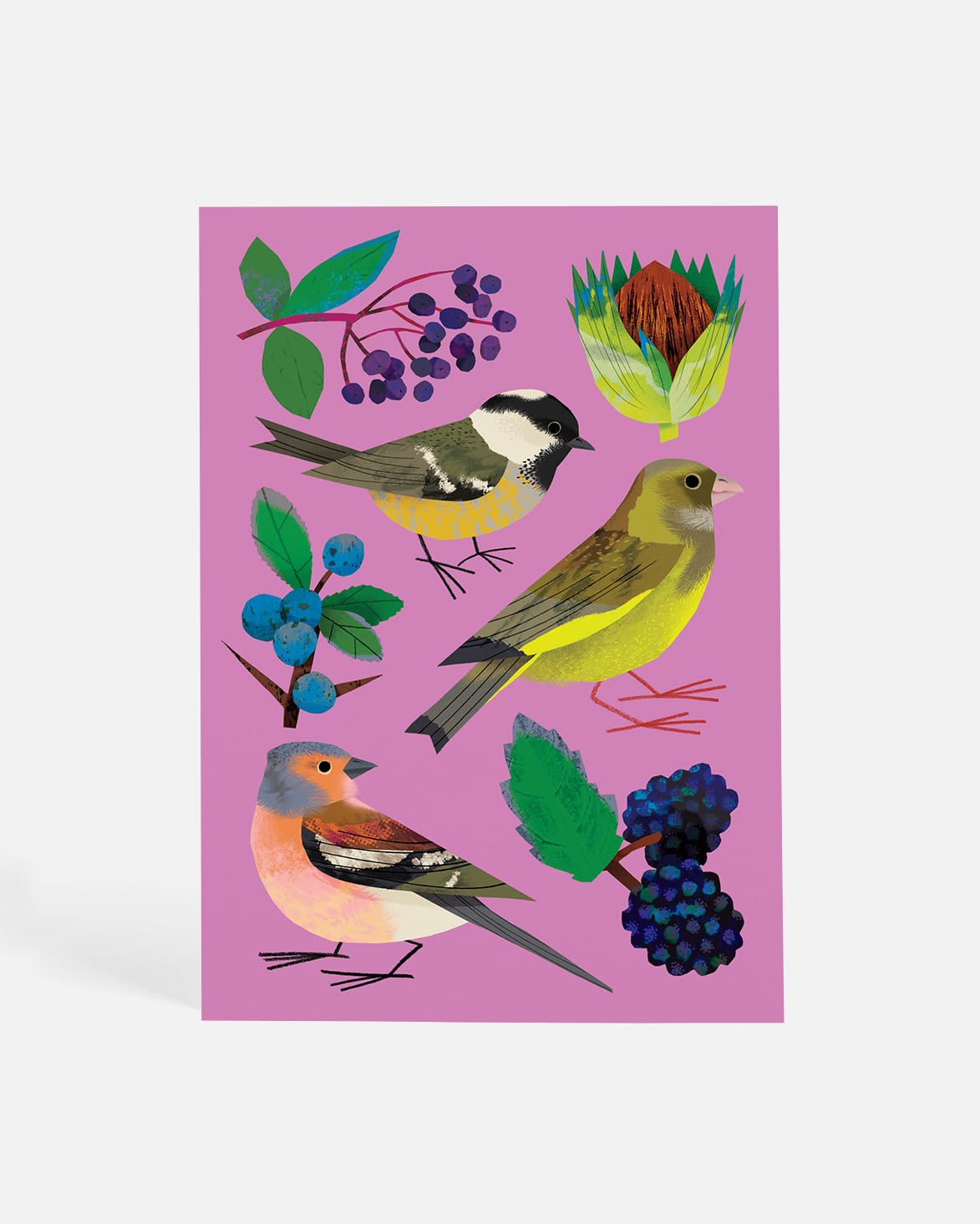 Feasting on the Hedgerows | Postcard