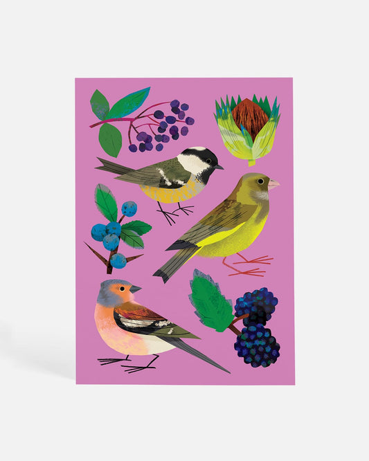 Feasting on the Hedgerows | Postcard