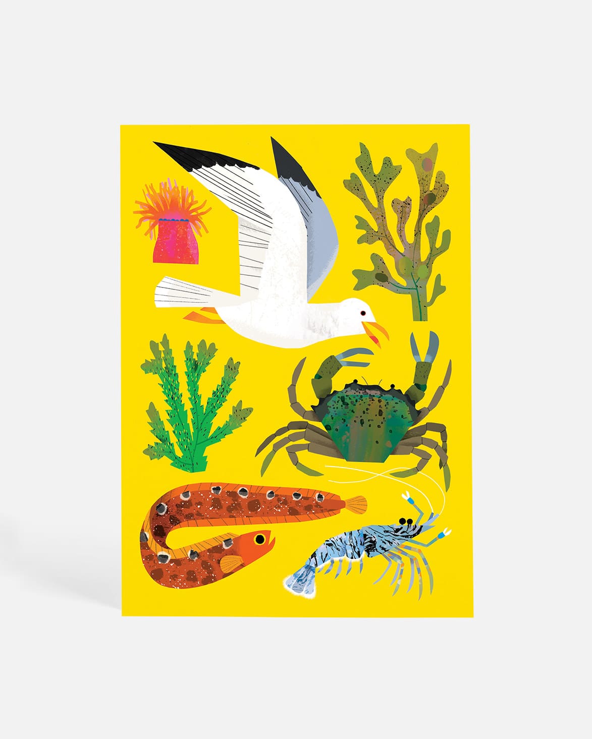 Sand and Shore | Postcard