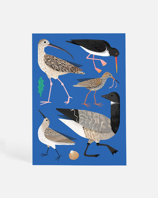 On the Estuary | Postcard