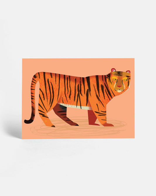 Tiger | Postcard
