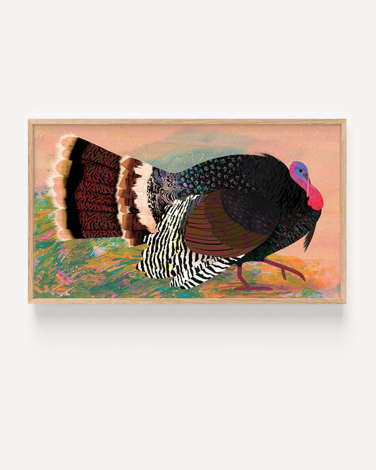 Wild Turkey | Art Print