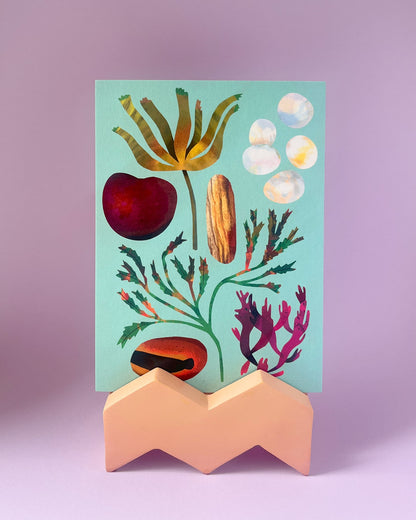 Drift Seeds | Postcard