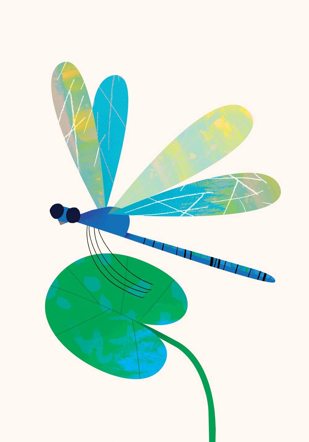 Dragonfly | A4 Art Print