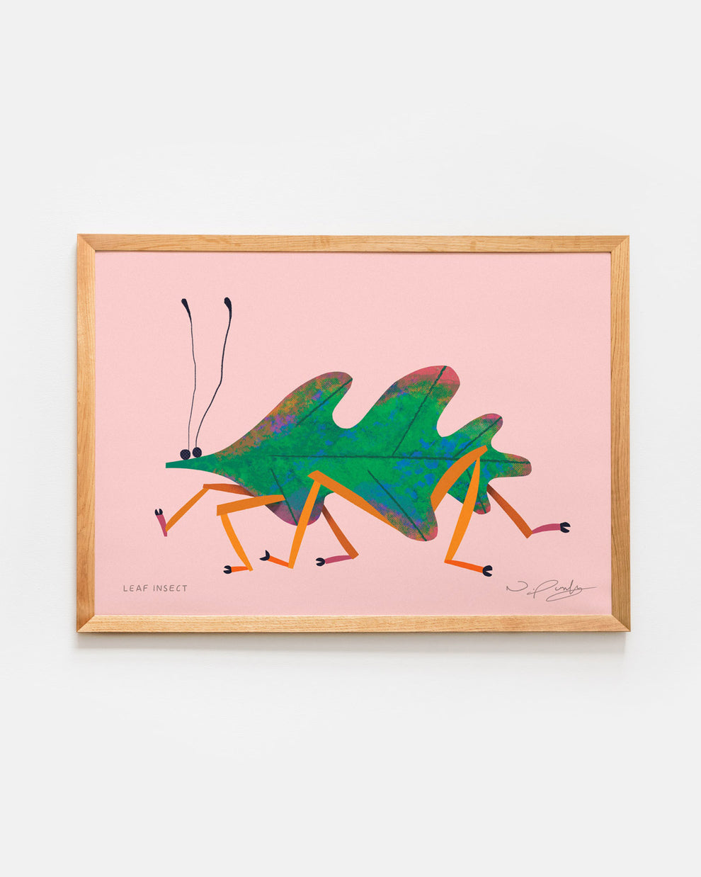 Leaf Insect | Art Print – Sunny Beast