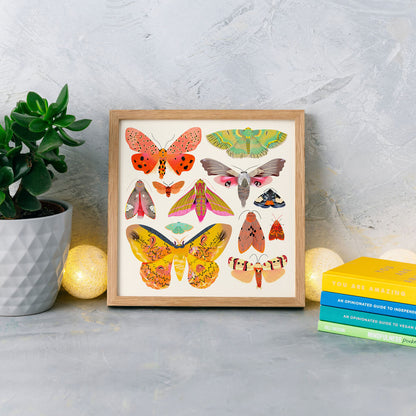 Moth Collection | Art Print